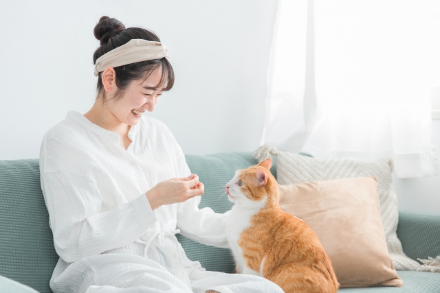 猫に話しかける女性