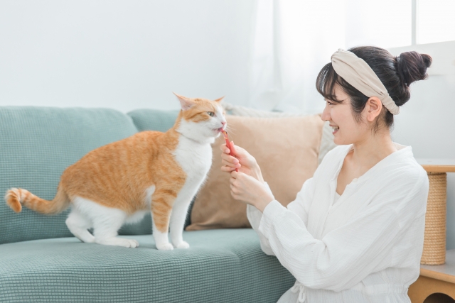 猫におやつをあげる女性